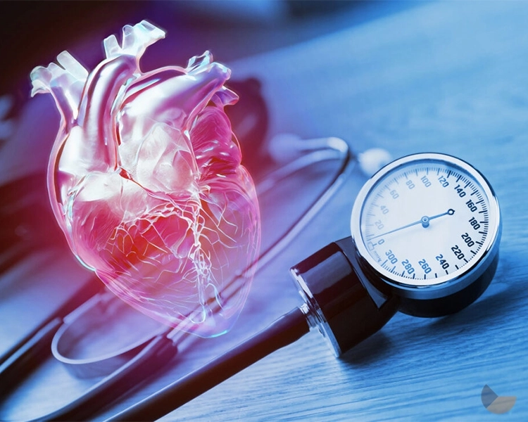 Blood Pressure, Cholesterol, and GI Health: Causes, Risks, and Management