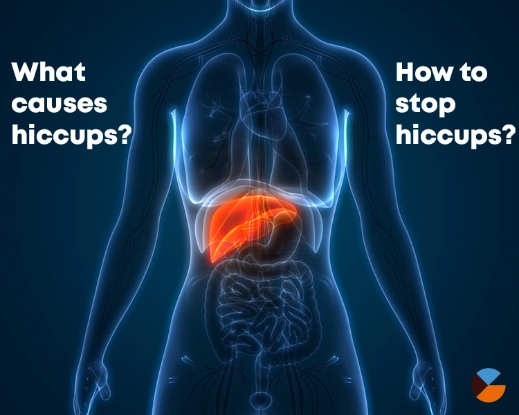 What Causes Hiccups? Top 10 Reasons Explained