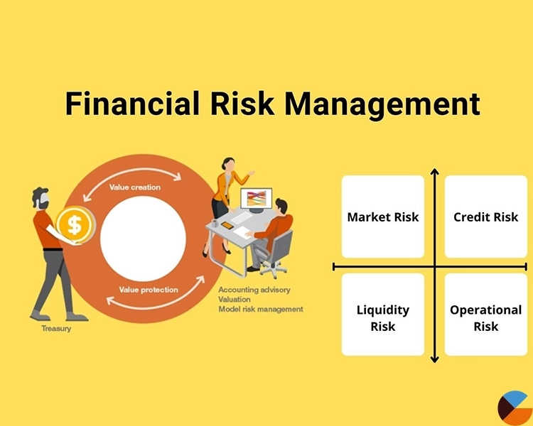 Financial Risk Management: Protecting Your Business from Unforeseen Losses