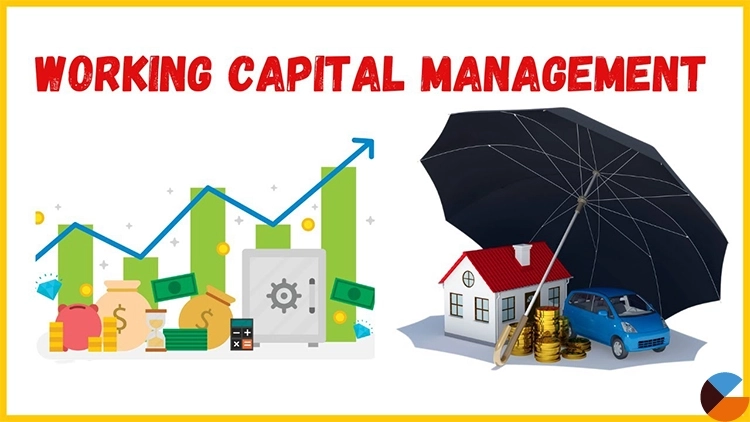 Working Capital Management 101: Essential Tips for Optimal Business Performance